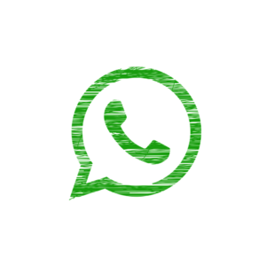 come funziona la versione business di WhatsApp